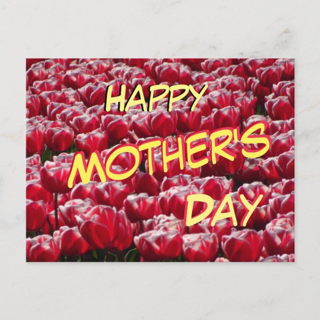 Red White Tulips Pattern Mother's Day Postcard (Front)