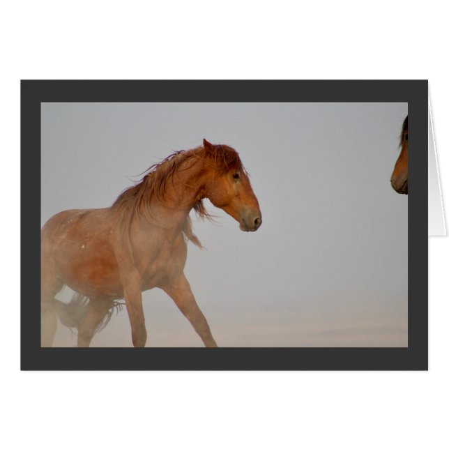 RED WILD HORSE OF UTAH IN WESTERN DESERT (Front Horizontal)