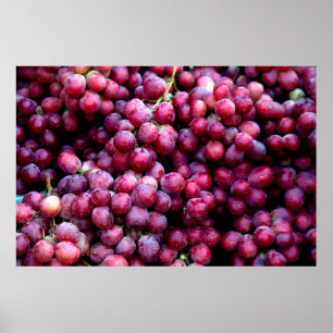 Red wine grapes poster