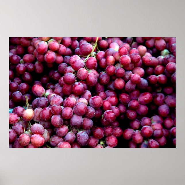 Red wine grapes poster (Front)