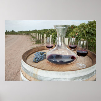 Red Wine In Vineyard Poster