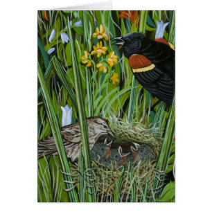 Red Wing Blackbird