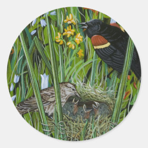 Red Wing Blackbird Classic Round Sticker