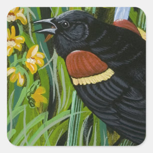 Red Wing Blackbird Square Sticker
