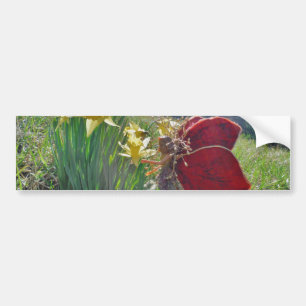 red wing fairy and daffodils bumper sticker