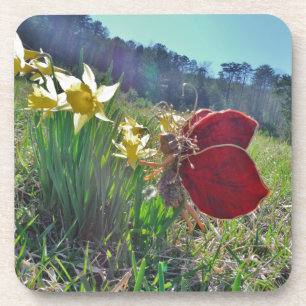 red wing fairy and daffodils coaster