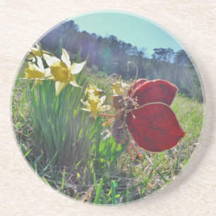 red wing fairy and daffodils coaster