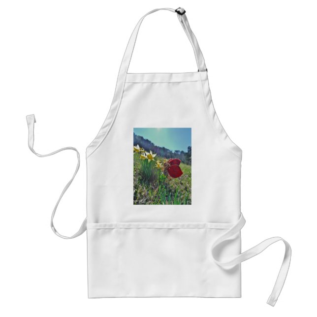 red wing fairy and daffodils standard apron (Front)