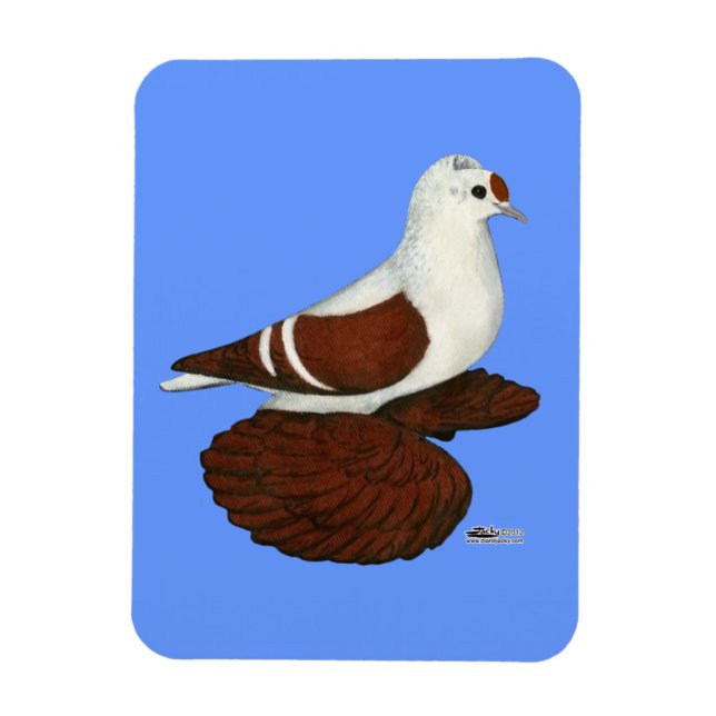 Red Wing Pigeon Magnet (Vertical)