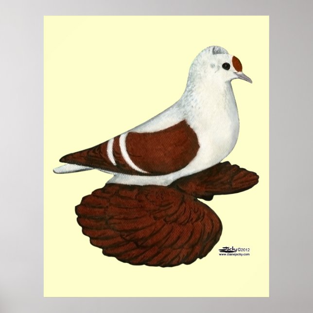 Red Wing Pigeon Poster (Front)