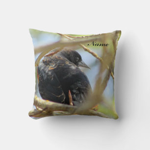 Red Winged Black Bird Cushion