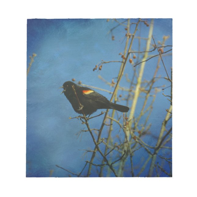 Red-Winged Black Bird singing Notepad (Front)
