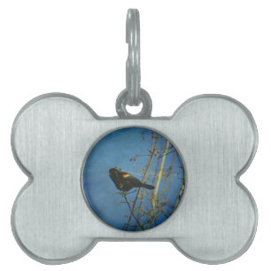 Red-Winged Black Bird singing Pet Name Tag