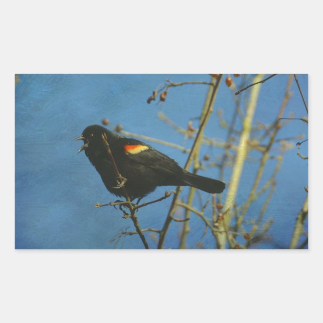 Red-Winged Black Bird singing Rectangular Sticker (Front)