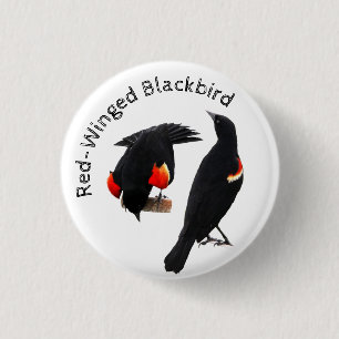 Red-Winged Blackbird 3 Cm Round Badge