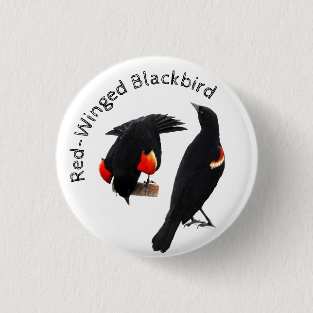 Red-Winged Blackbird 3 Cm Round Badge (Front)