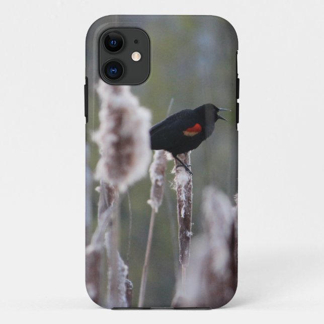 Red-winged Blackbird  (Agelaius phoeniceus) Case-Mate iPhone Case (Back)
