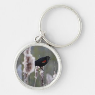 Red-winged Blackbird  (Agelaius phoeniceus) Key Ring