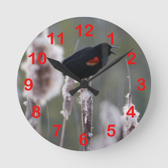 Red-winged Blackbird  (Agelaius phoeniceus) Round Clock (Front)