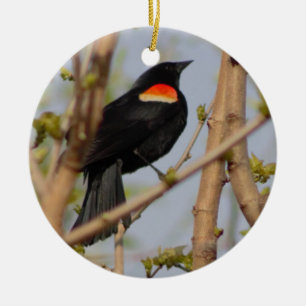 Red-winged Blackbird Ceramic Ornament