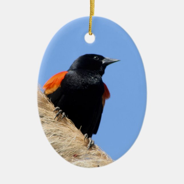 Red-winged Blackbird Ceramic Tree Decoration (Front)