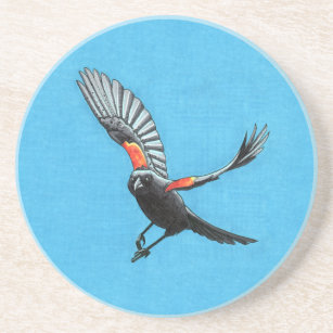 Red-winged Blackbird Coaster