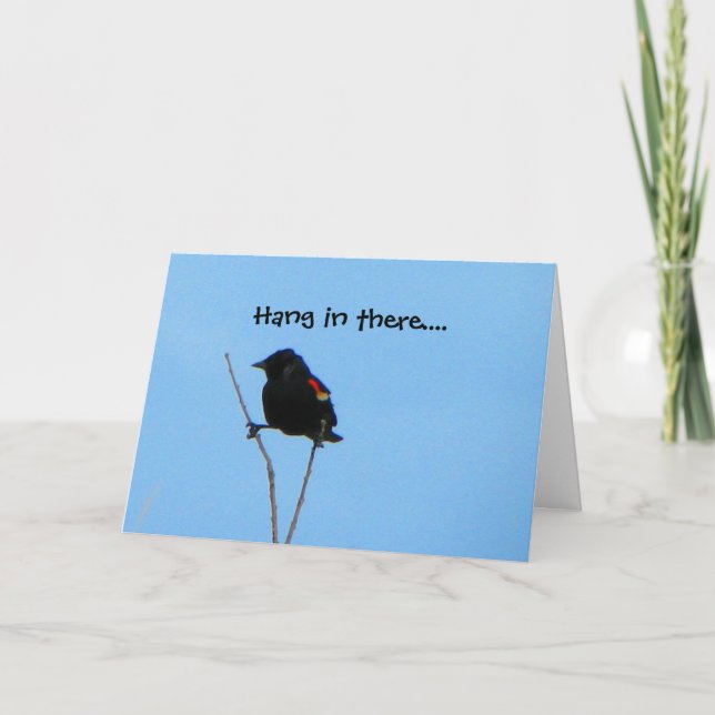 Red-winged Blackbird Get Well Card (Front)