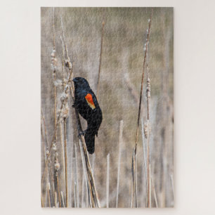 Red-winged Blackbird Jigsaw Puzzle