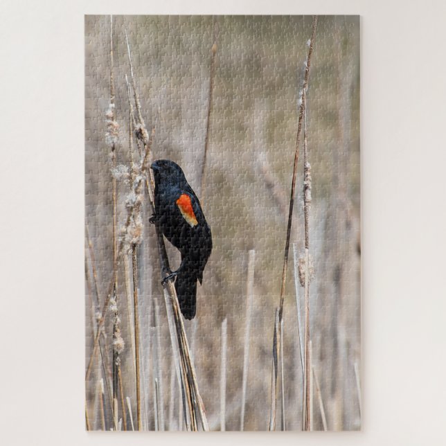 Red-winged Blackbird Jigsaw Puzzle (Vertical)