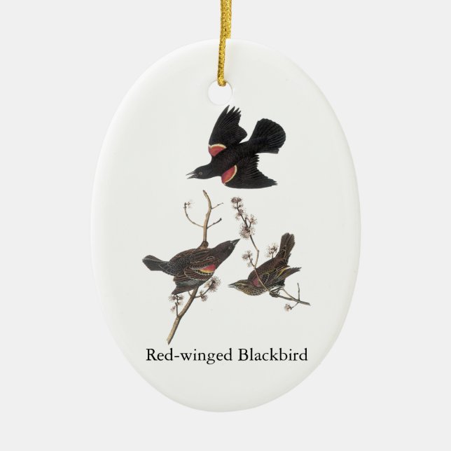 Red-Winged Blackbird, John Audubon Ceramic Tree Decoration (Front)
