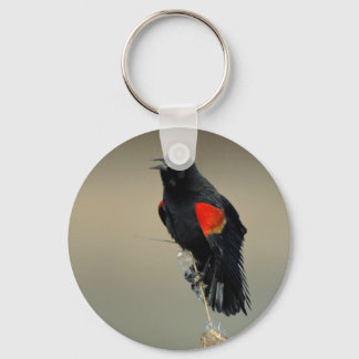 Red-winged Blackbird Key Ring
