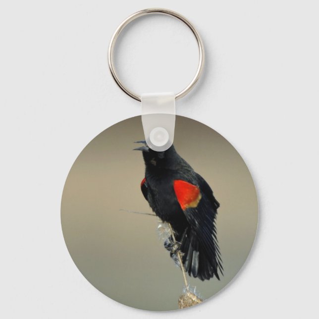 Red-winged Blackbird Key Ring (Front)