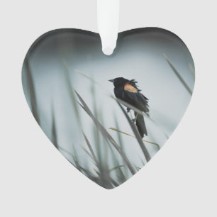 Red-winged Blackbird Marsh Dated Photo Custom Ornament