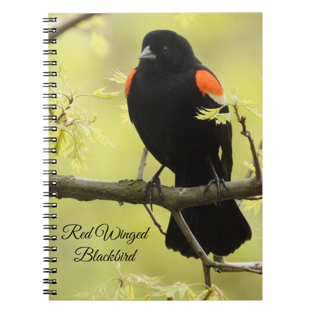 Red Winged Blackbird Notebook (Front)