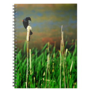 Red Winged Blackbird on a Cattail Notebook