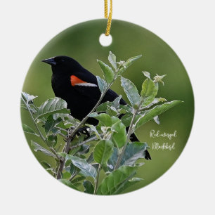 Red-winged Blackbird Ornament
