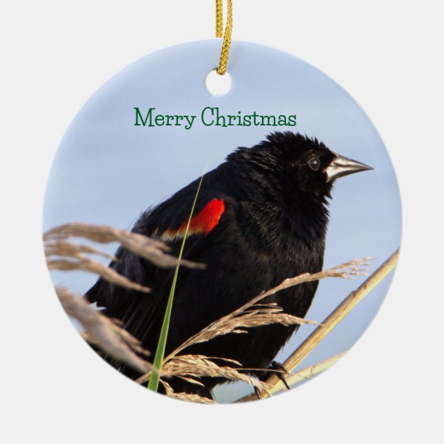 Red-winged Blackbird Ornament  (Front)
