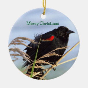 Red-winged Blackbird Ornament