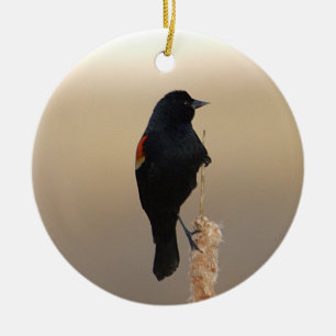 Red-winged Blackbird Ornament