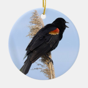 Red-winged Blackbird Ornament
