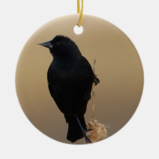 Red-winged Blackbird Ornament (Front)