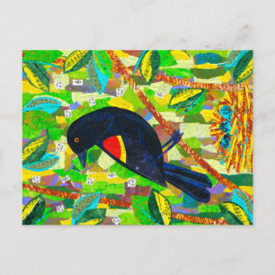 Red-winged Blackbird Postcard