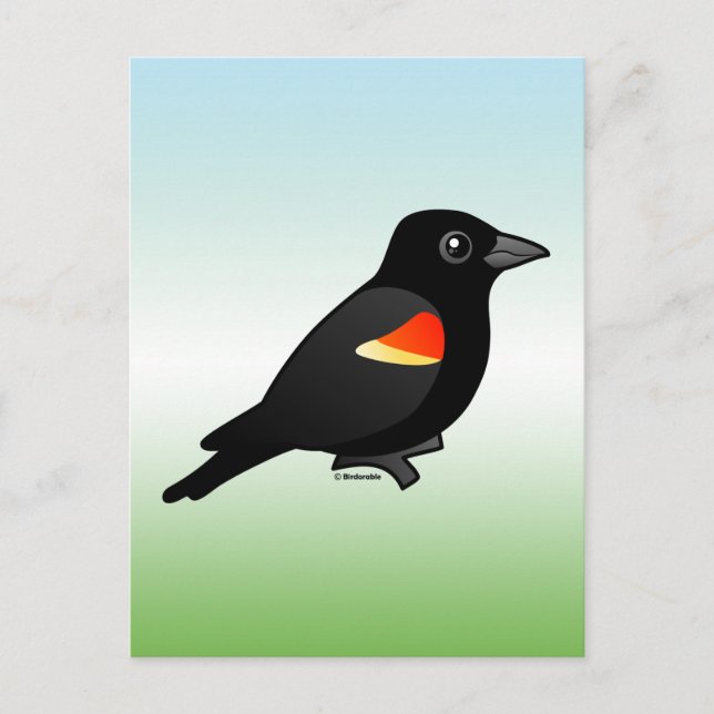 Red-winged Blackbird Postcard (Front)