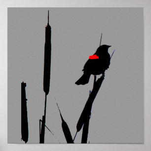 Red-winged Blackbird Poster