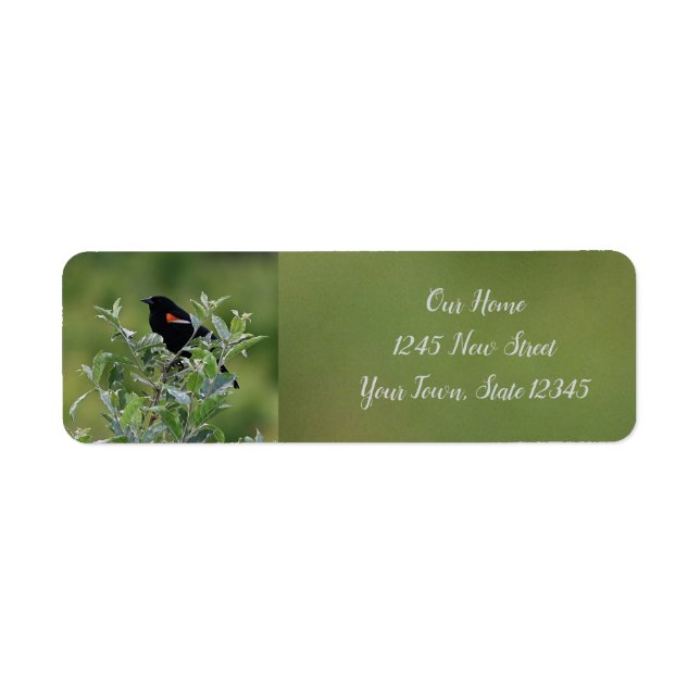 Red-winged Blackbird Return Address Label (Front)