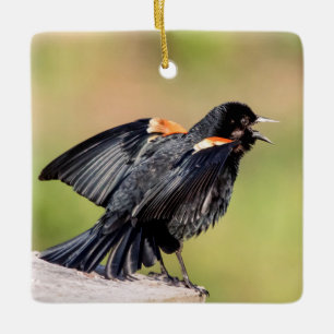 Red Winged Blackbird Singing Ceramic Tree Decoration