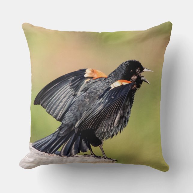 Red Winged Blackbird Singing Cushion (Front)