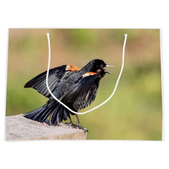 Red Winged Blackbird Singing Large Gift Bag (Front)