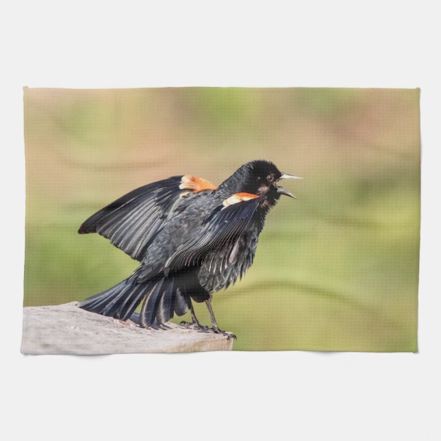 Red Winged Blackbird Singing Tea Towel (Horizontal)