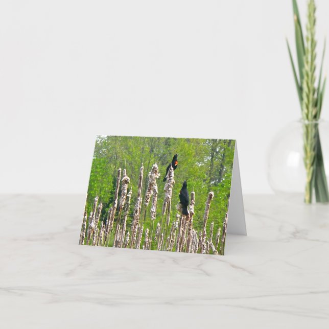 Red-Winged Blackbirds on Cattails Note Card (Front)